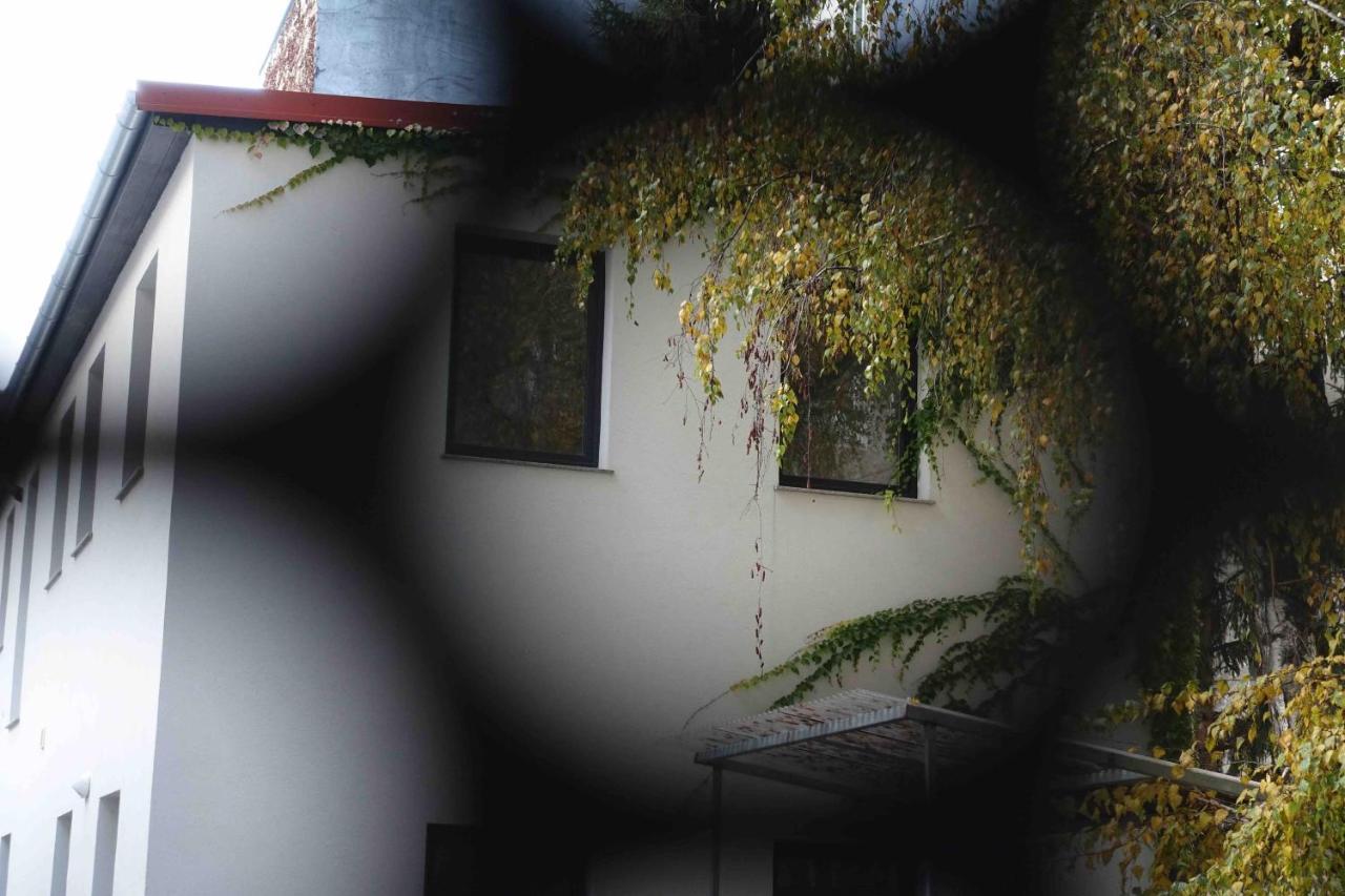 Studio U Parkplatz, Zentrale Ruhelage Neben Gruenoase Viena Exterior foto
